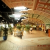 DSCF0728