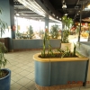 DSCF0732
