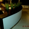 DSCF1256